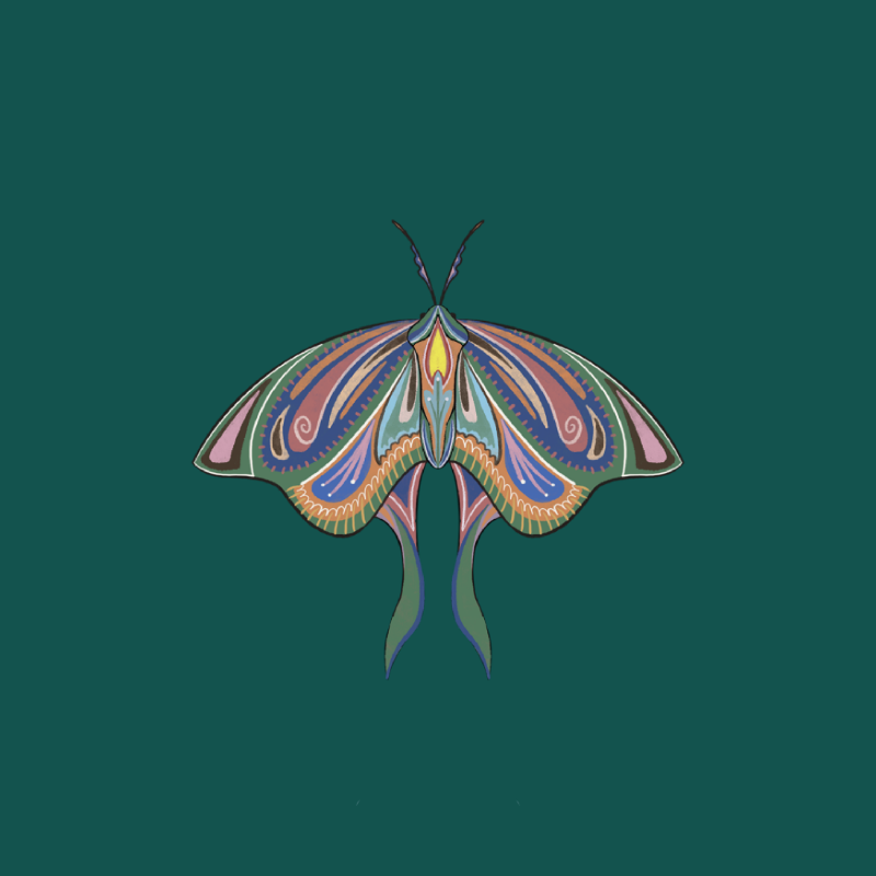 The Moth Experiment 2.0 P1 #30
