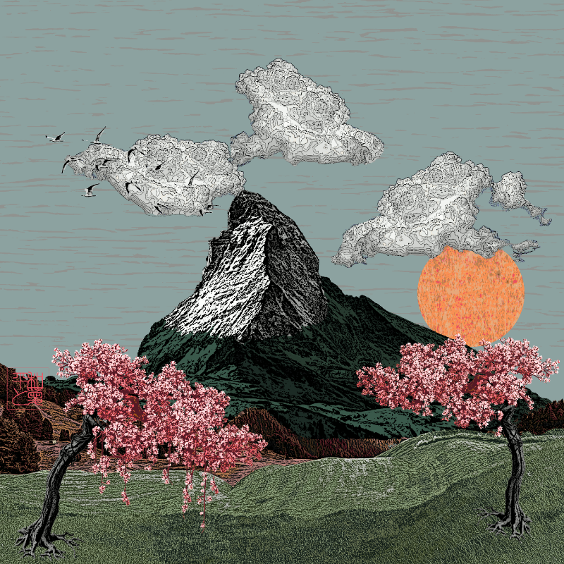 Λ peAks Λ #242