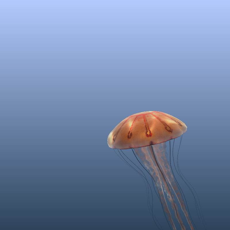 Jellyfish #20