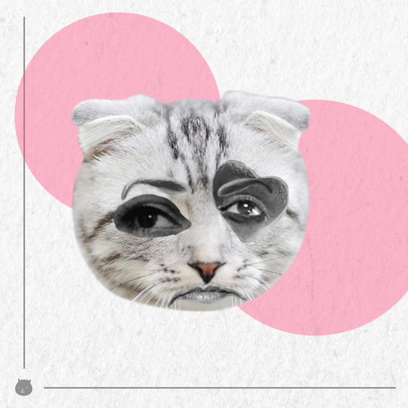 Kittenstein #30
