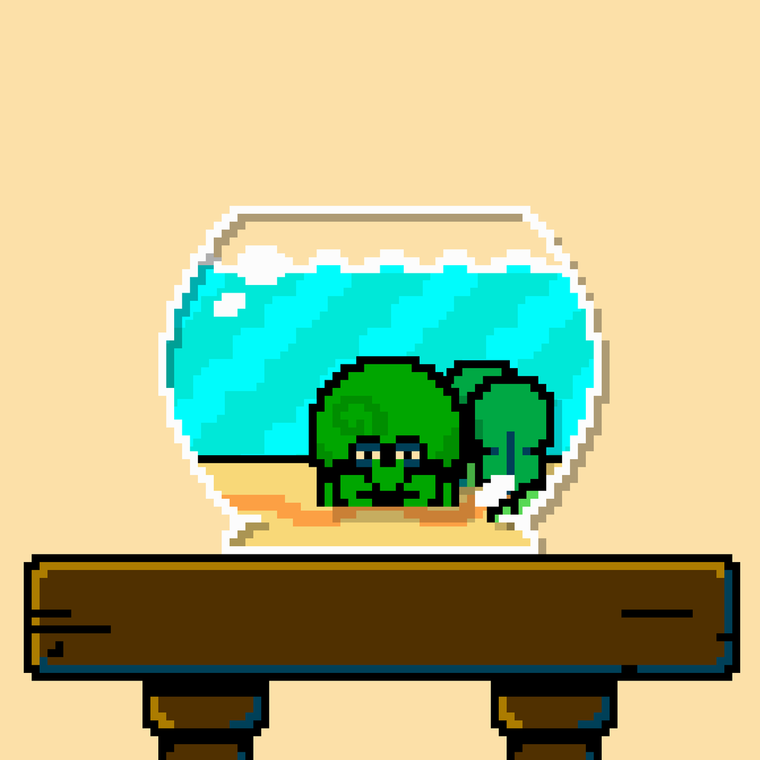 hermit crab #192