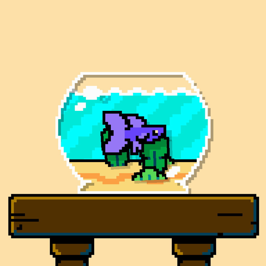 betta fish #362