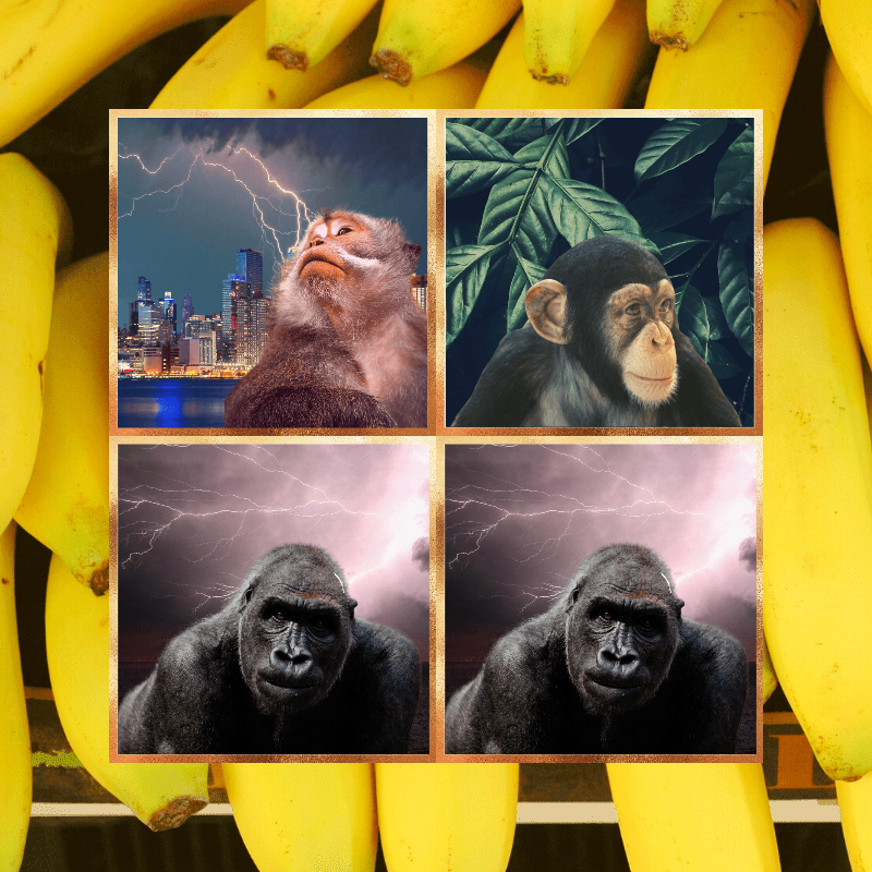 Banana legends #24