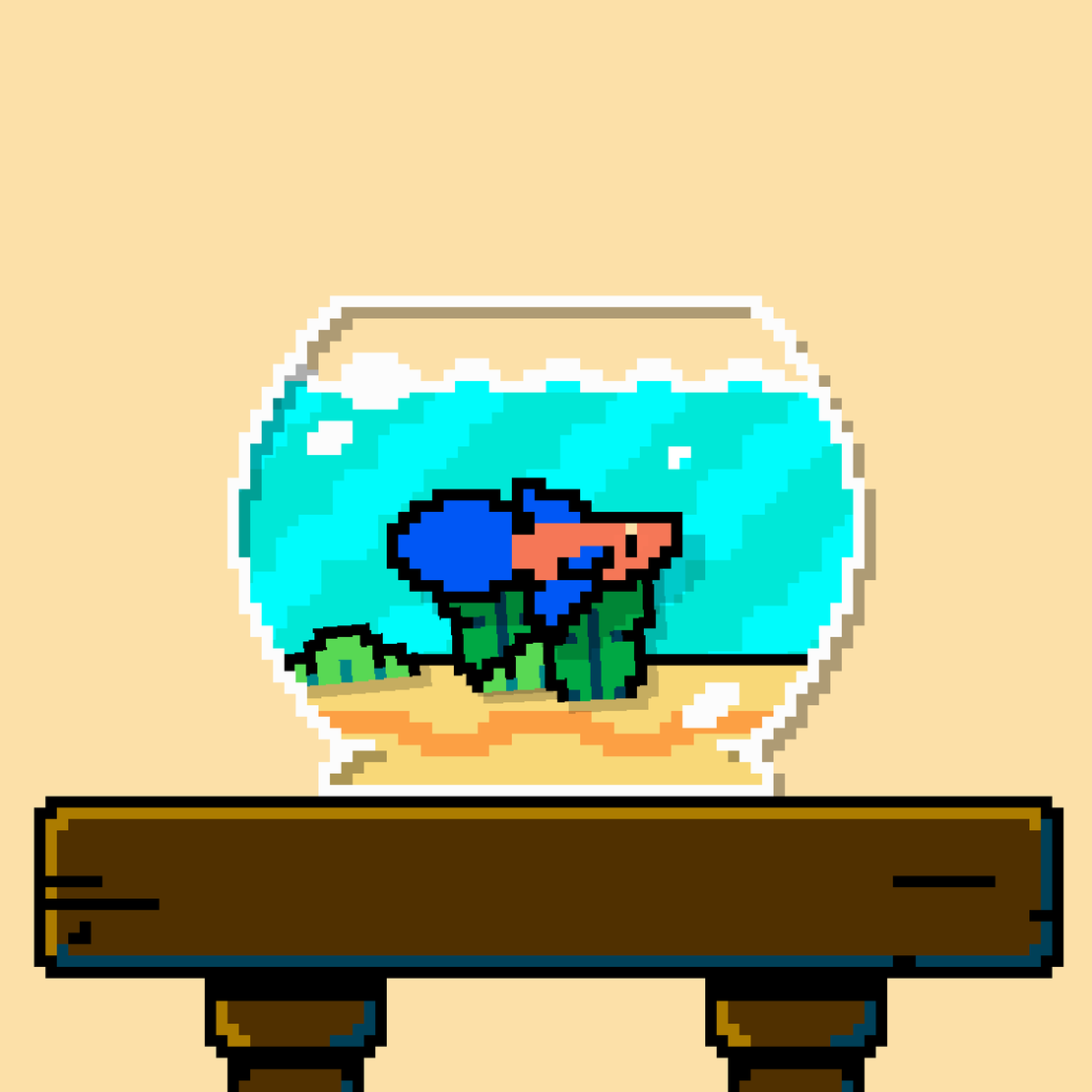 betta fish #391