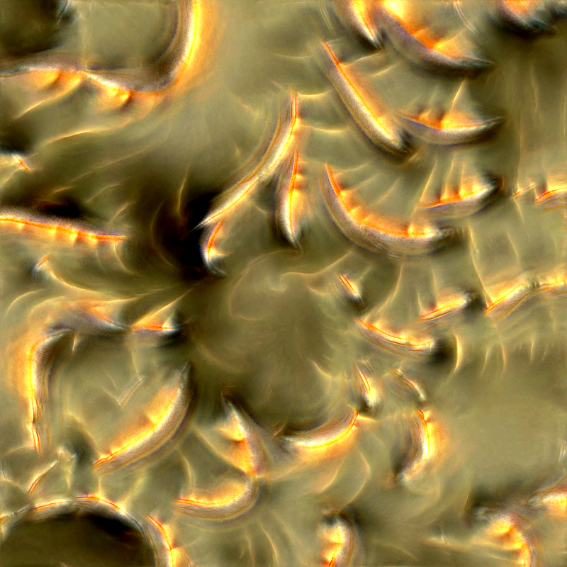 Genomes #720