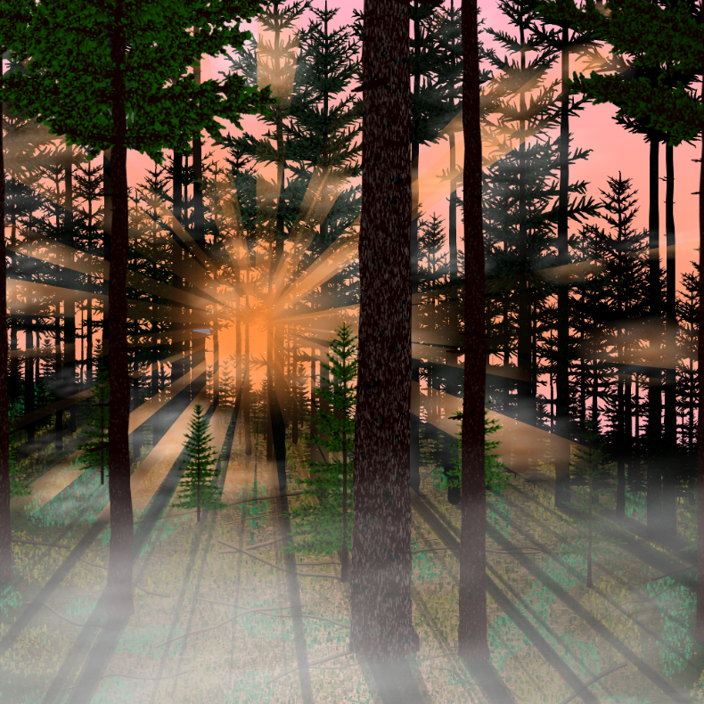 Forest Sunrise #17