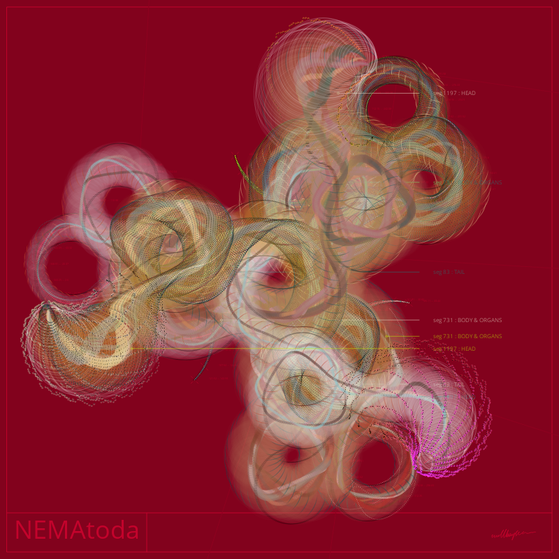 NEMA #87