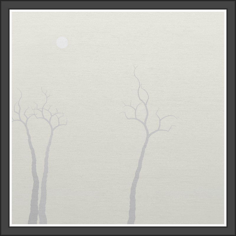 The Foggy Trees #19