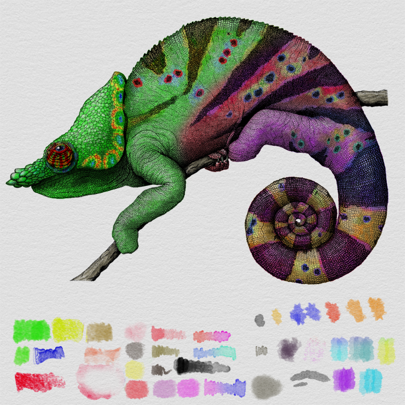 Colorful Cameleon #10