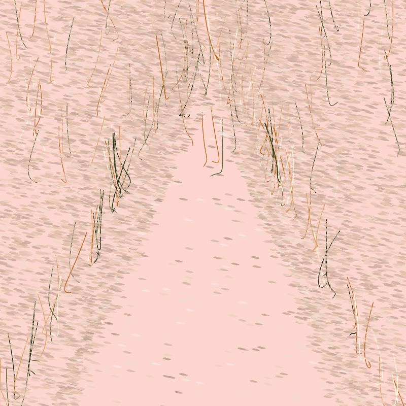 Forest path #2