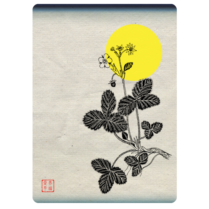 Zen flower card  #12