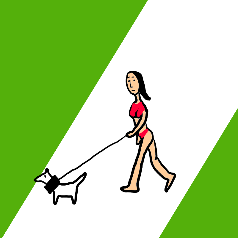 wALKING A DOG #82