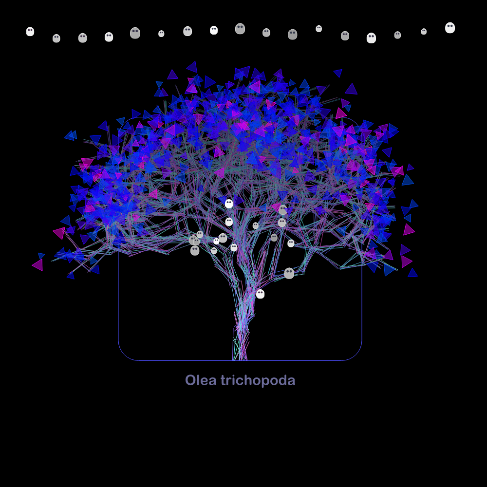 Fluidynamix - Trees