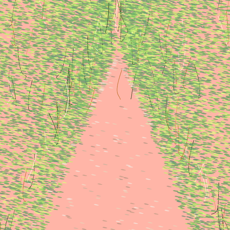 Forest path #6