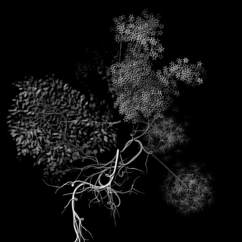 Botanical Ghosts #343