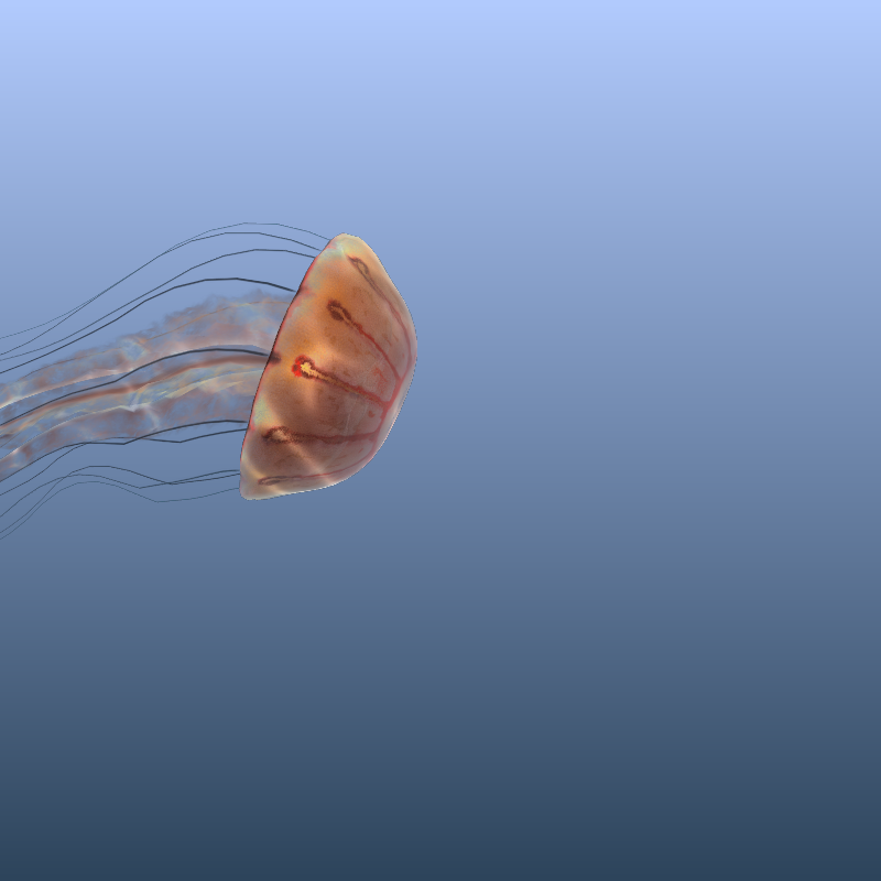 Jellyfish #43