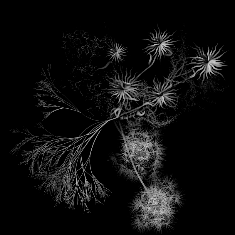 Botanical Ghosts #104