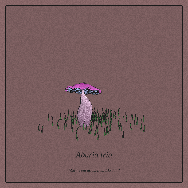 Mushroom Atlas #2