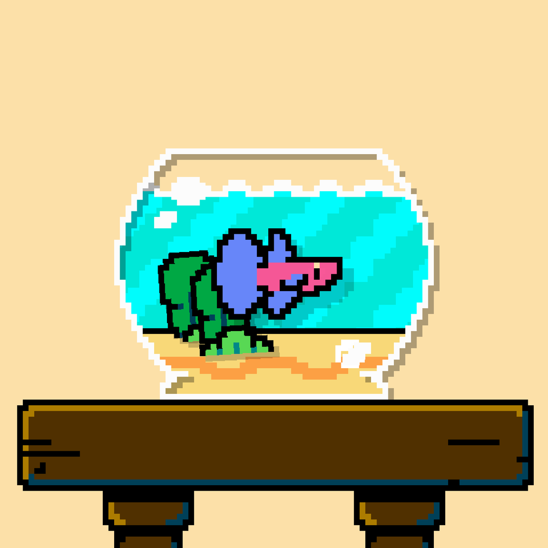 betta fish #57