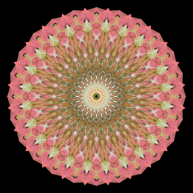 Morphing Mandala - #fxhashturnsone charity #19