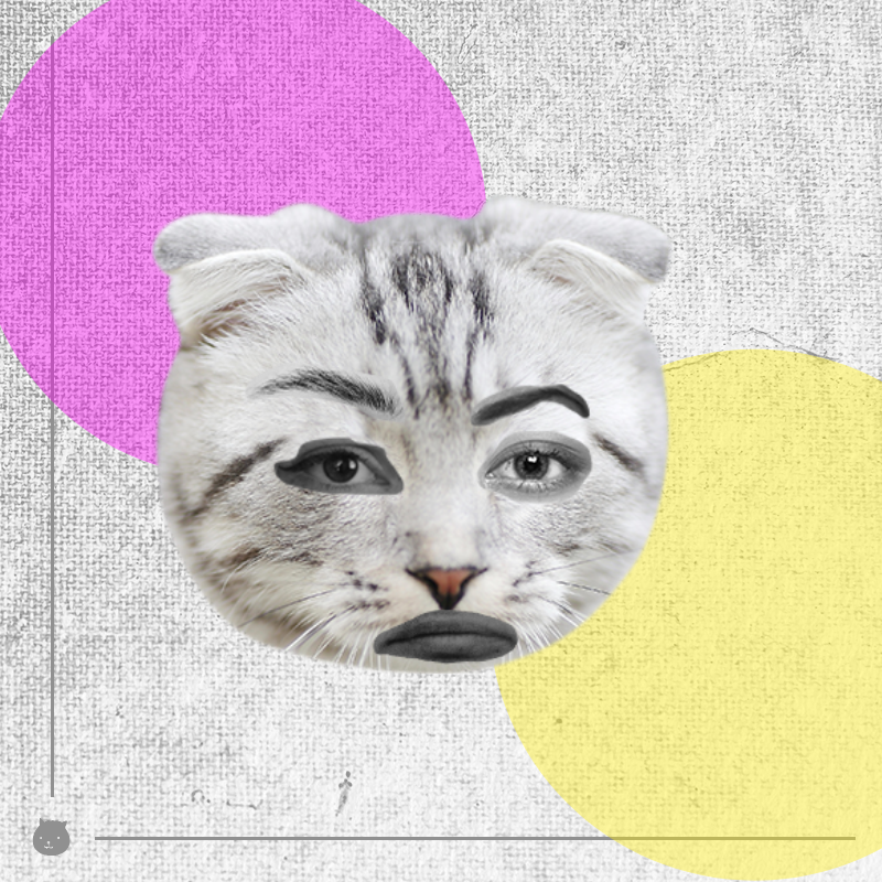 Kittenstein #21