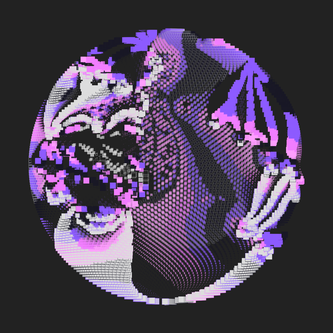 Still C #28461