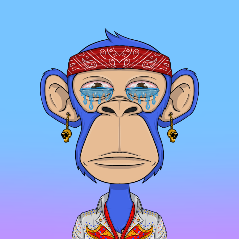 chimpantez #556