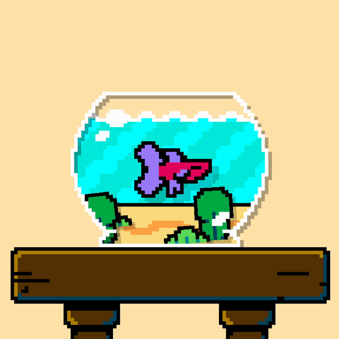 betta fish #473