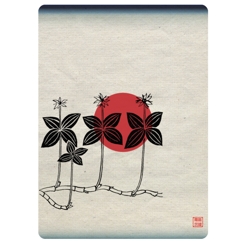 Zen flower card  #47