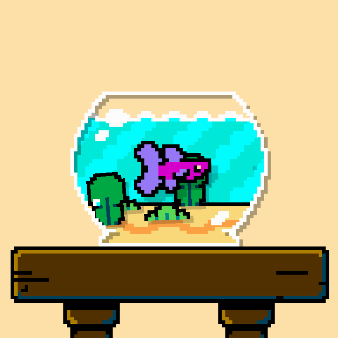 betta fish #18