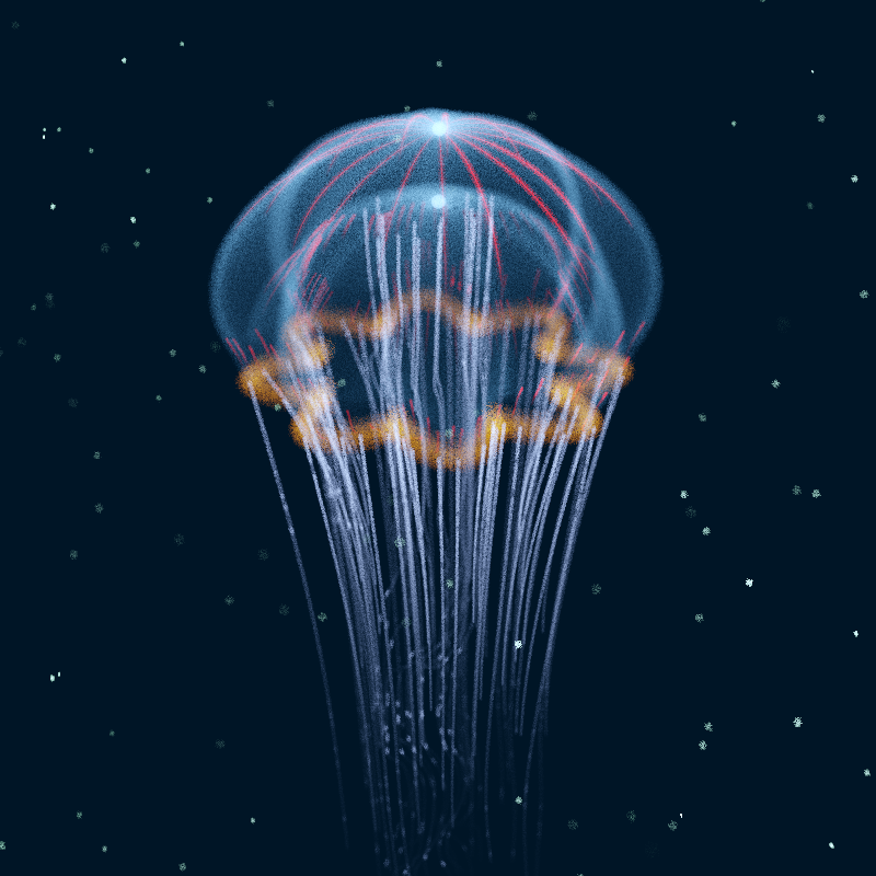 Creatures of the Deep #1 - The Jellyfish #1