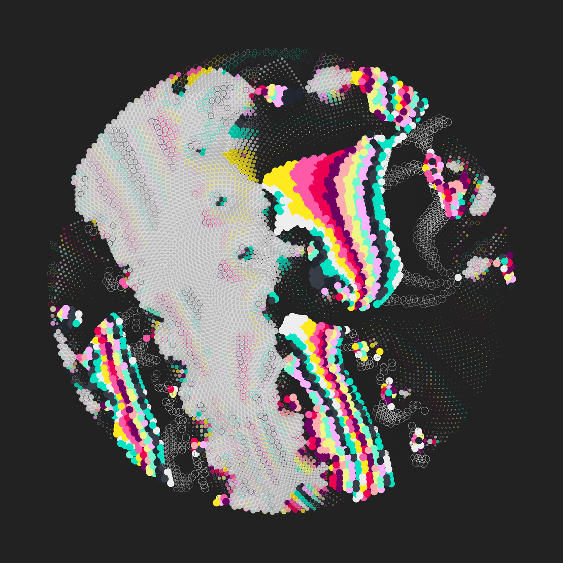 Still C #33037