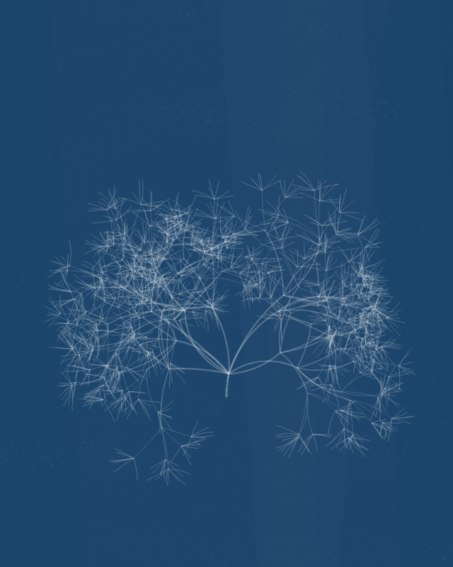Cyanotypes #277