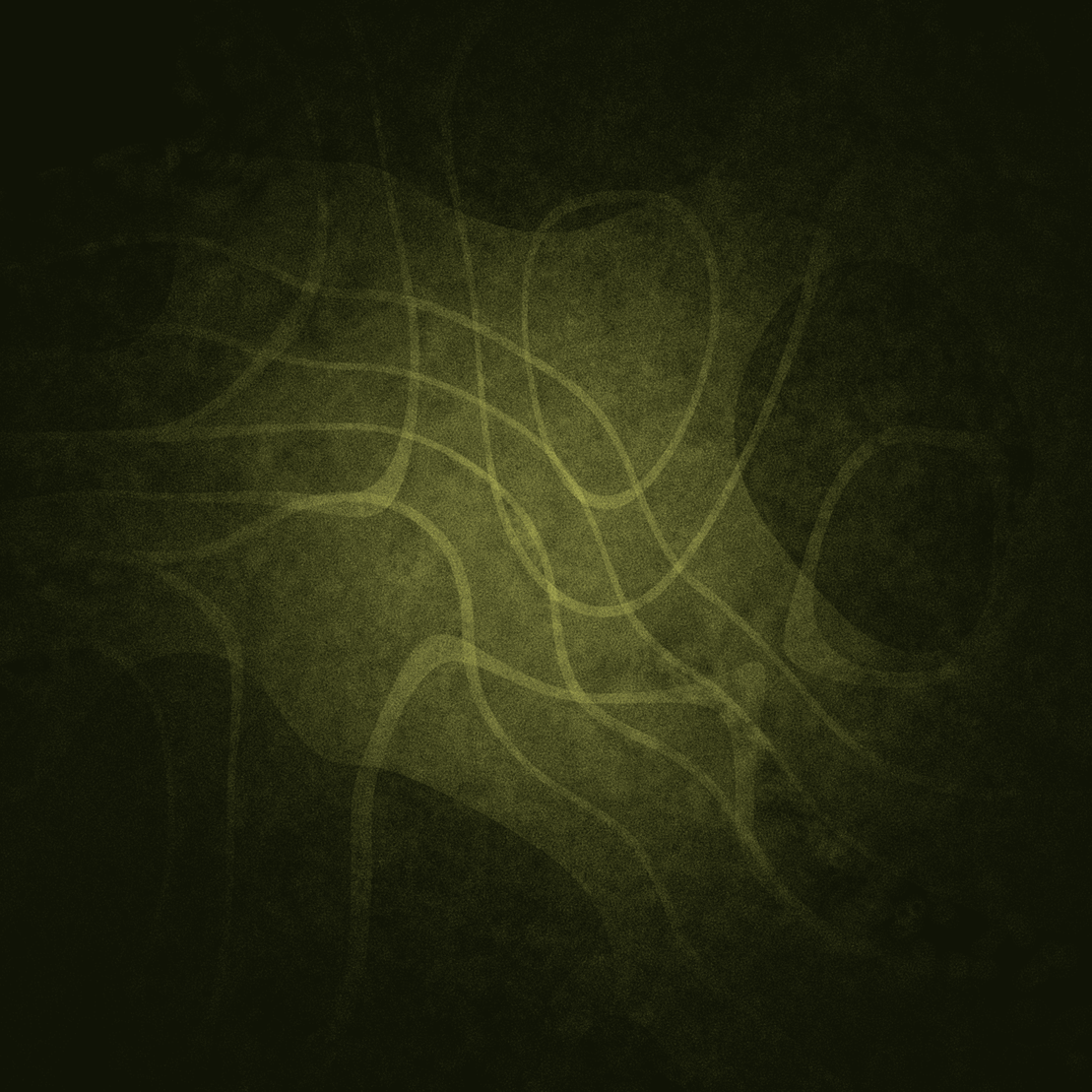 Beyond Dichotomy  #60