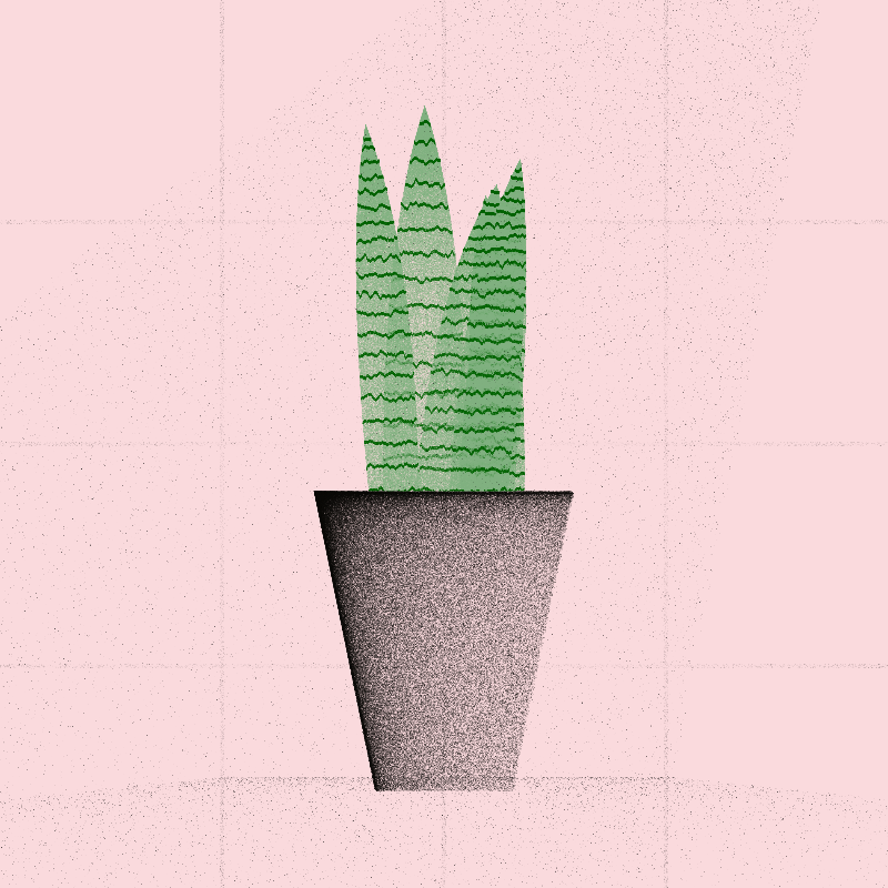 🌱 Potted & Printed #51