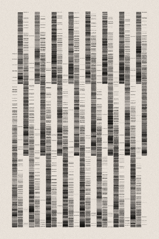 Sequence #182