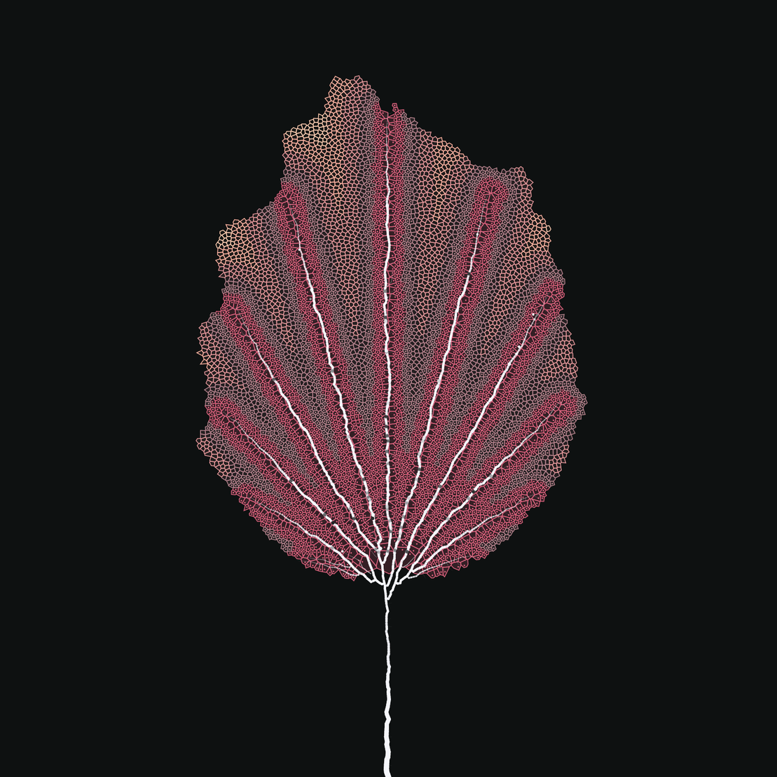 Leaf study #14