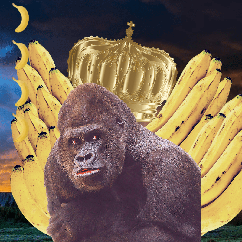 Banana gods #18