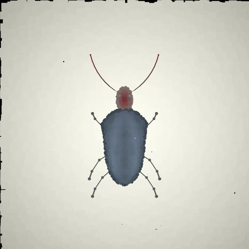 Beetle Sketches #21