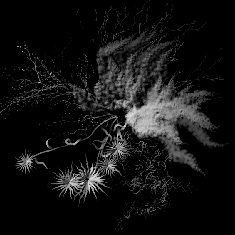 Botanical Ghosts #246