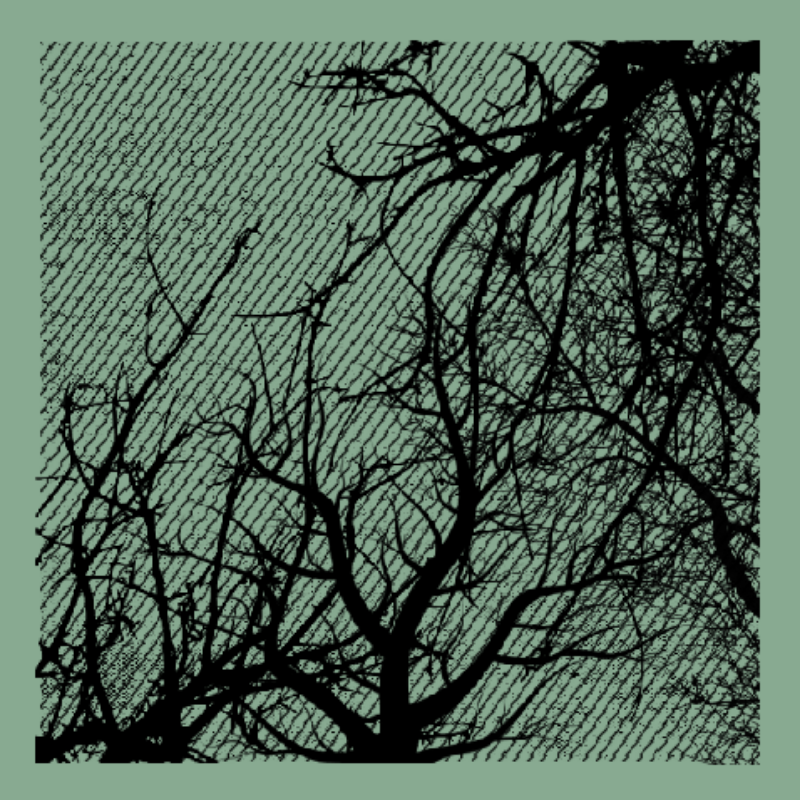 Forest of Shadows #78