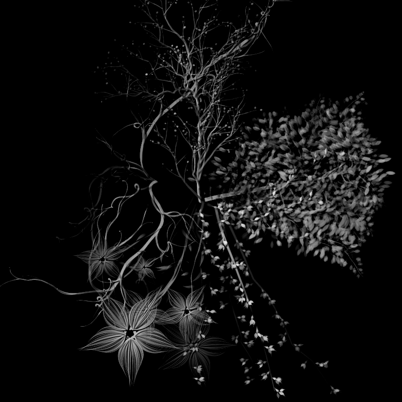 Botanical Ghosts #117