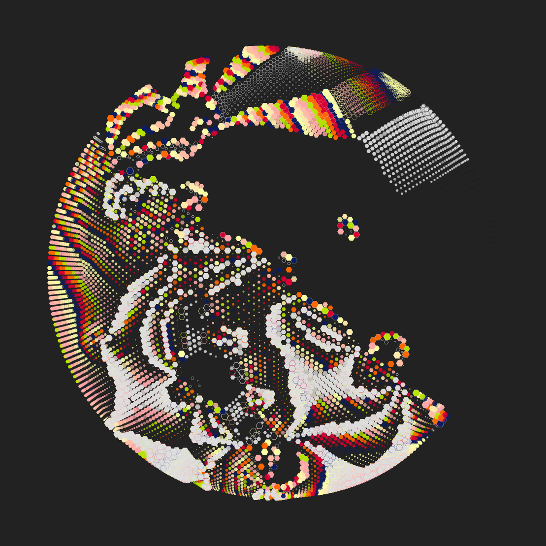 Still C #21319