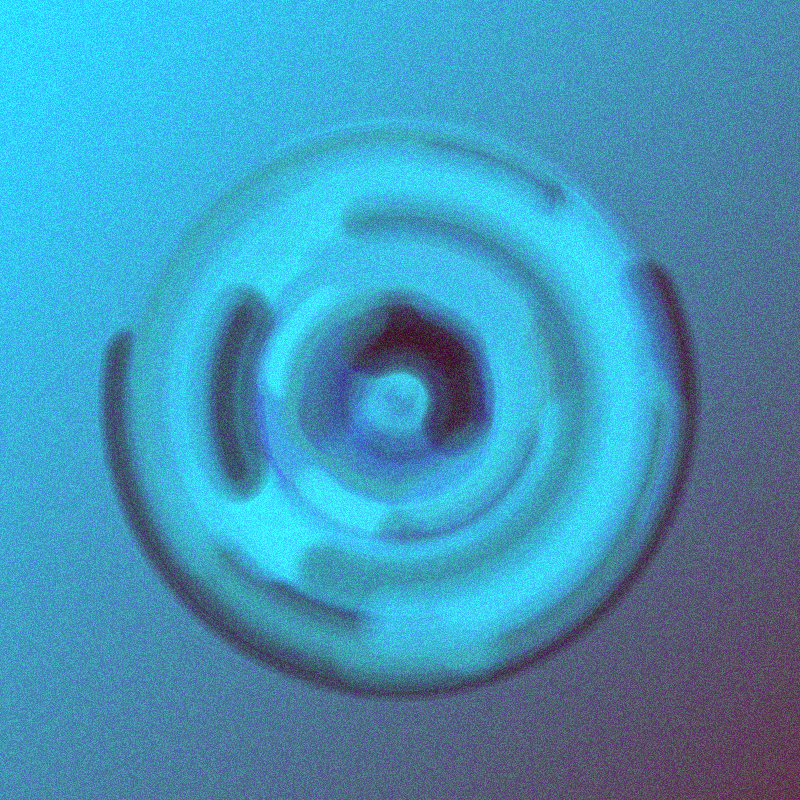Wisp #256