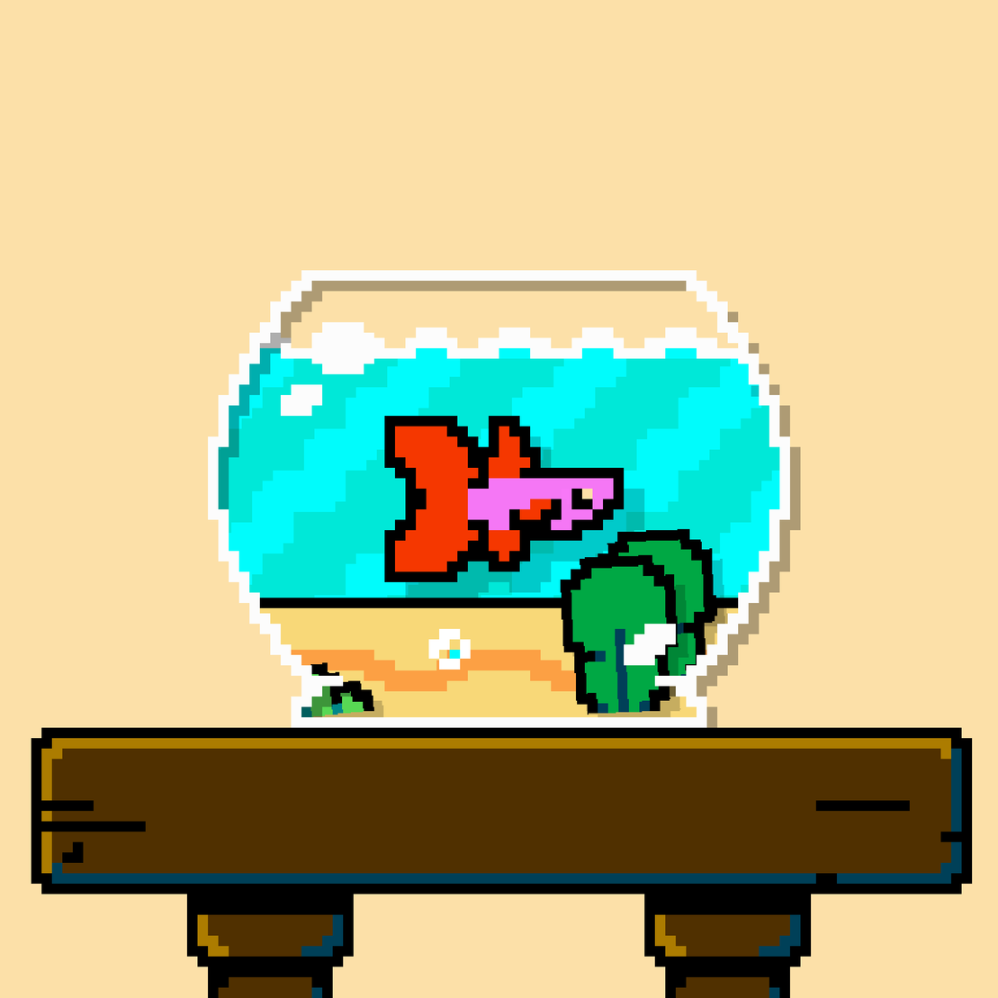 betta fish #493