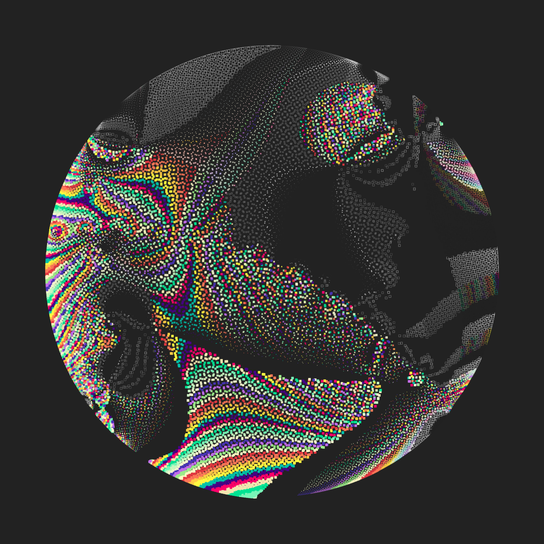 Still C #21002
