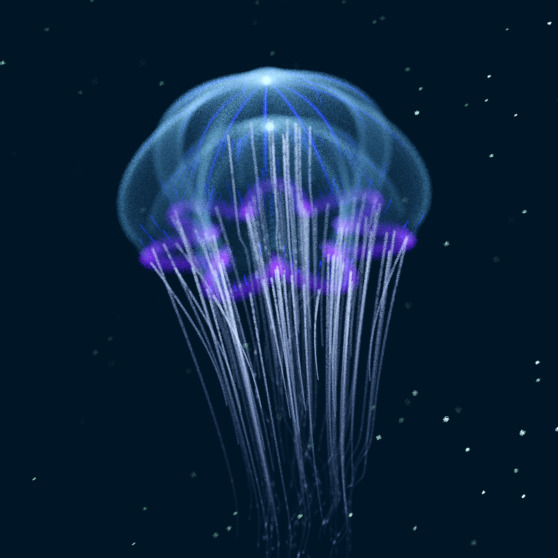 Creatures of the Deep #1 - The Jellyfish #10