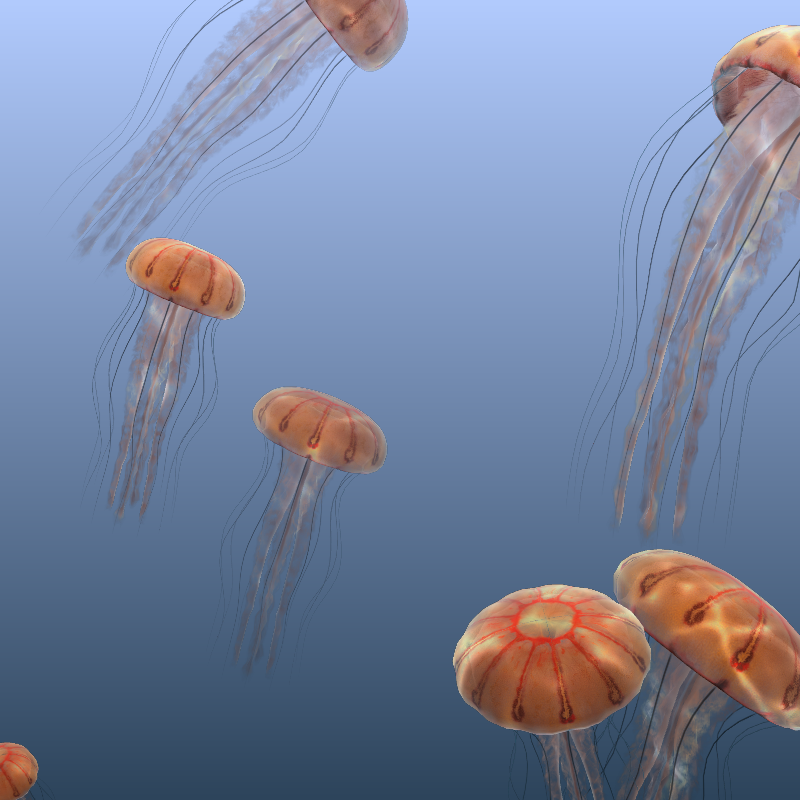 Jellyfish #44