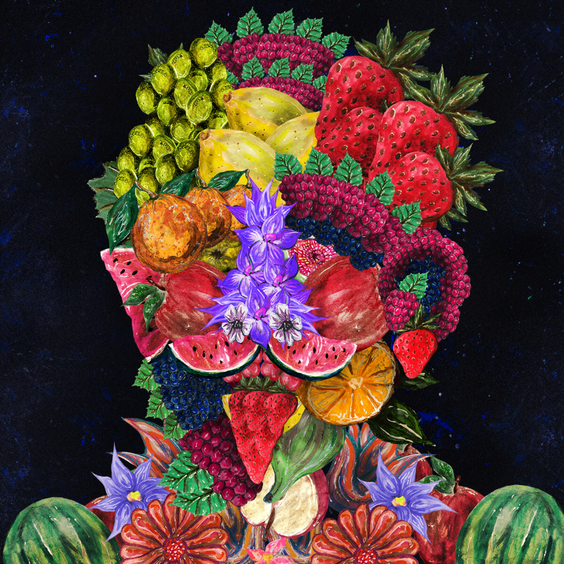 The Arcimboldo Project #52