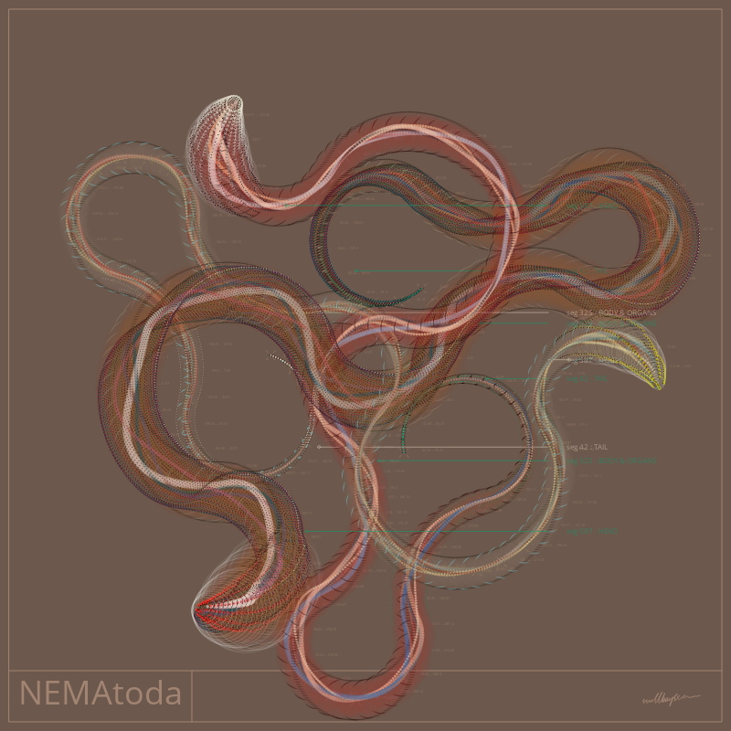 NEMA #88